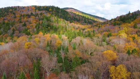 aerial of glorious fall colors of the forest just outside mont tremblant, québec, canada in the autumn