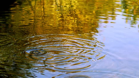 water drops on lake water