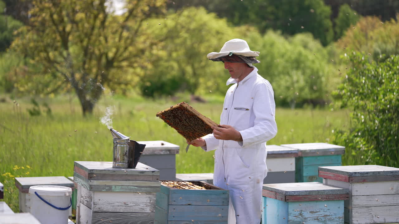 Agricultural summer organic apiary honeycombs. Man in uniform working beekeeping in apiary.