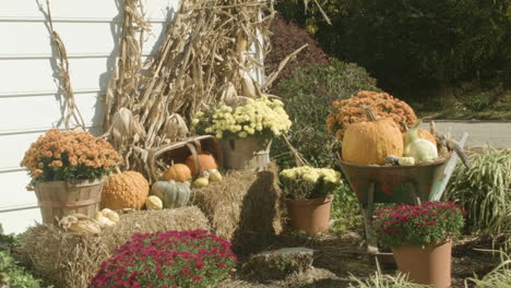 an autumn harvest collection outside a white clapboard house