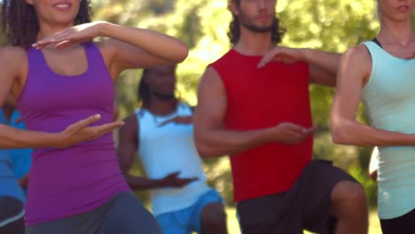 en formato de alta calidad grupo de fitness haciendo tai chi en el parque
