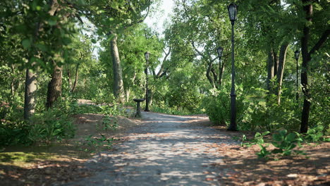 Grüne-Allee-Mit-Bäumen-Im-Park