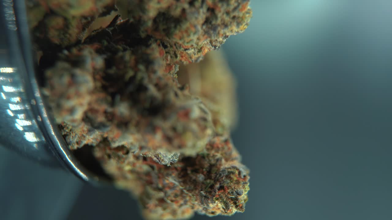 A vertical macro cinematic detailed shot of a cannabis plant, orange hybrid strains, Indica and sativa ,green crispy marijuana flower, on a 360 rotating stand, slow motion, 4K video, studio lighting