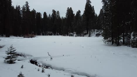 Winterschneedecke-Sequoia-National-Forest,-Kalifornien