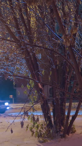 escena nocturna de un coche pasando por árboles cubiertos de nieve y calles urbanas iluminadas, con luces calurosas que proyectan tonos dorados y sombras sobre el suelo nevado
