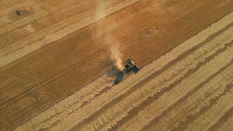 Toma-Lateral-Aérea-De-Una-Cosechadora-Combinada-En-Un-Campo-De-Trigo-Durante-La-Cosecha,-Australia