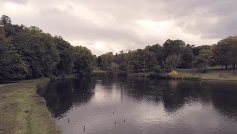 Reflective-lake-in-a-forest-with-swimming-birds-on-a-cloudy-day-in-autumn