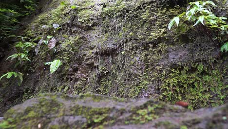 Cerrar-Toma-En-Cámara-Lenta-De-Agua-Cayendo-Por-Las-Rocas-En-Una-Selva-Tropical-En-Costa-Rica