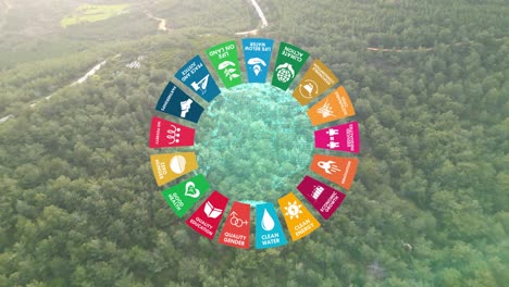 sustainable development climate action i motion graphic animation 17 global goals concept