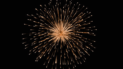Vibrant fireworks burst celebration animated overlay, transparent 4K video, alpha channel, ProRes