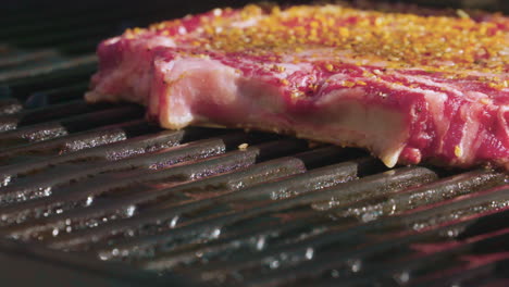 delicious, seasoned ribeye steaks cooking on a grill