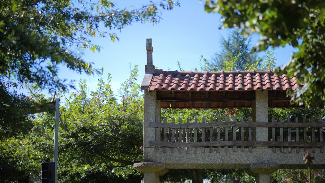 Rustic Barn Exterior on a Sunny Day with Lush Green Trees and Leaves Swaying in the Wind
