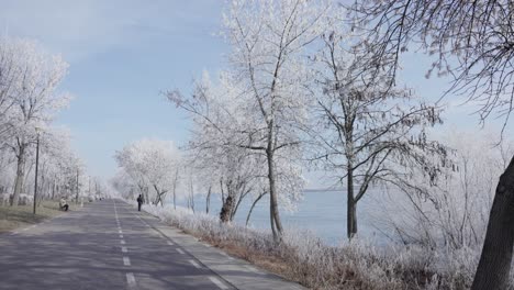 empty road during winter pass on frozen trees in galati, romania