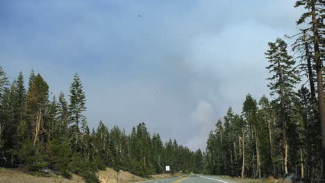 toma de conducción pov en medio del bosque, hacia el humo de los incendios forestales en california, estados unidos