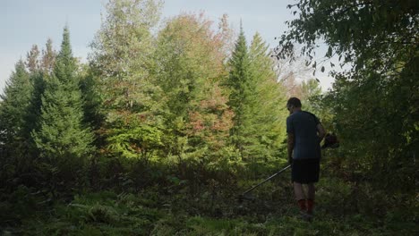man clearing brush in the woods with a weed wacker