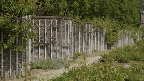 Schwenk-über-Eine-Mittelalterliche-Serpentinenmauer-In-Einem-Wunderschönen-Schlossgarten