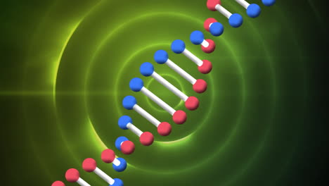 animación de la cadena de adn sobre círculos verdes