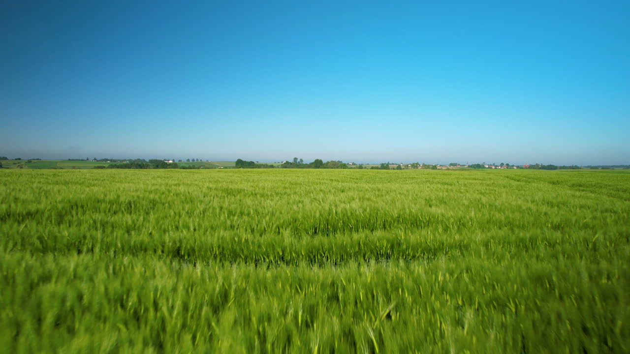 Aerial drone flying over grassland, field, beautiful springtime