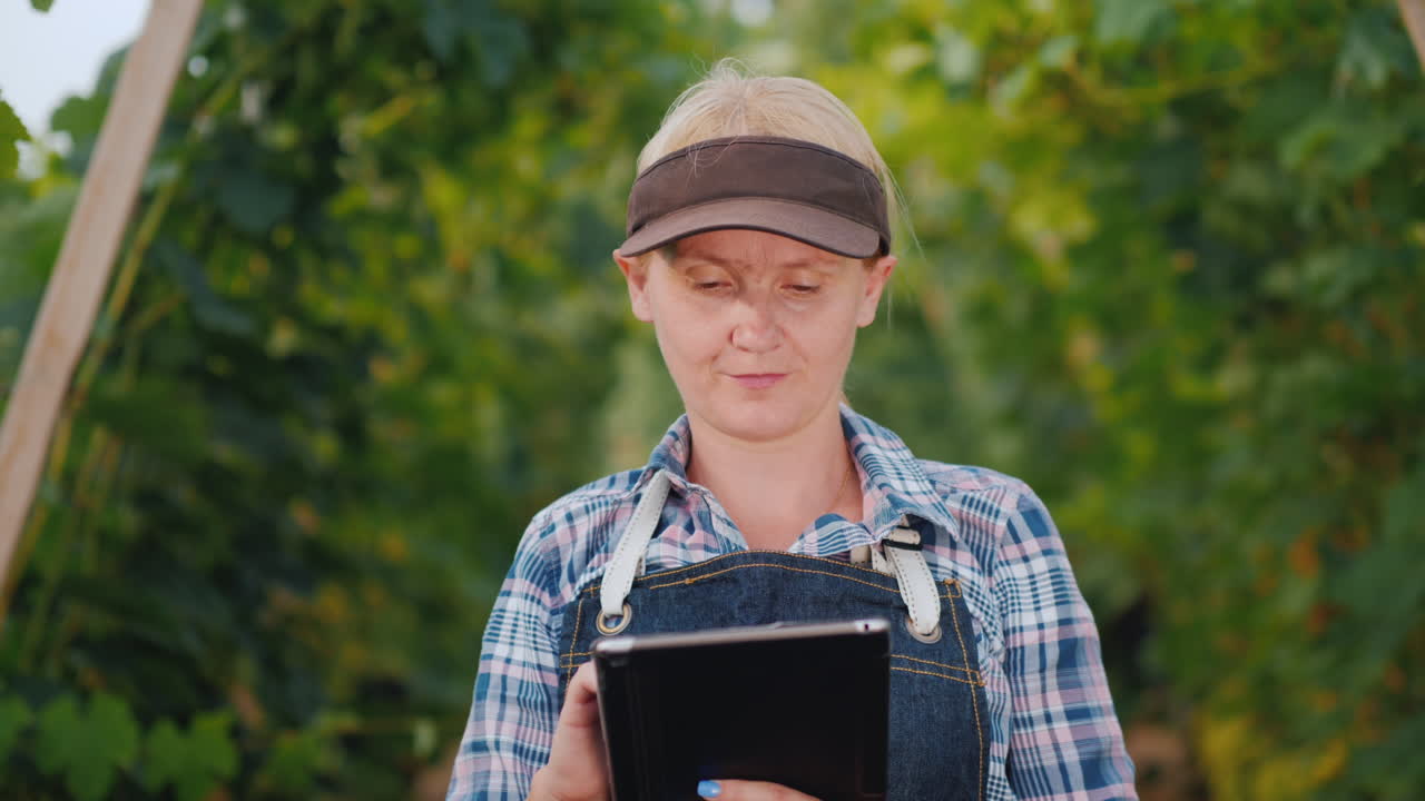 mujer agricultora usa una tableta en el contexto de un viñedo bien mantenido