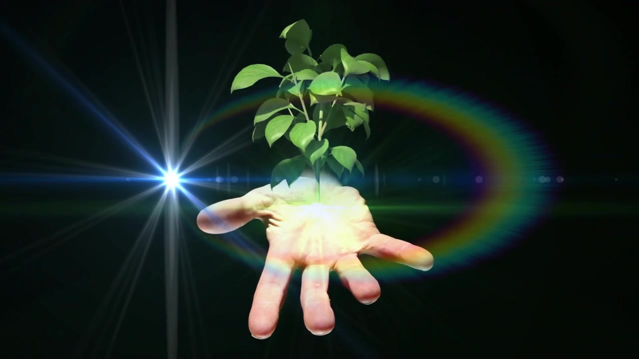 Vertical video: Green glow appearing in palm, solo hand holding sprout rising, showing growth