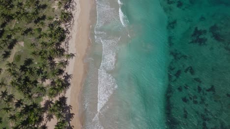 Vista-Superior-De-La-Costa-De-La-Bahía-De-Samaná,-República-Dominicana