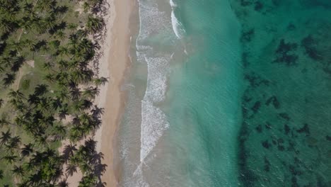 vista superior de la costa de la bahía de samaná, república dominicana