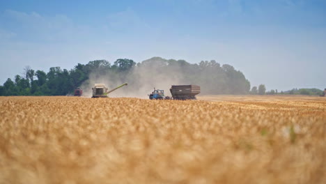 Tractor trailer moving closer to the combine harvester to stop exactly under the auger. Preparation for the unloading grains into truck. Agricultural machinery working in the field.