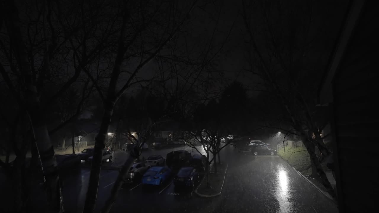 Night Storm in Urban Parking with Trees, Static Shot