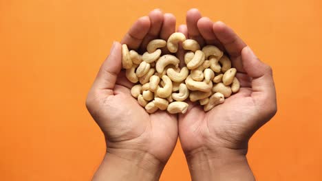 cashews in hands