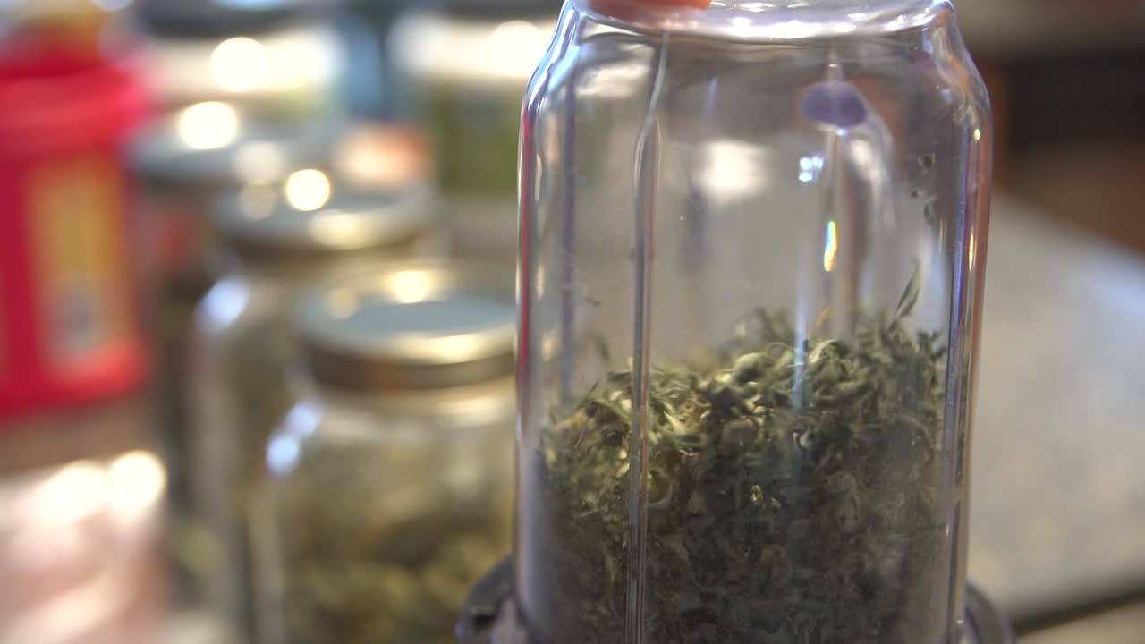 mezclando cogollos de marihuana en una licuadora transparente para comestibles de cannabis thc