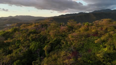 Drohnen-Luftaufnahmen-Von-Jaco,-Costa-Rica,-Regenwald,-Küste,-Bäume,-Dschungel,-Mittelamerika