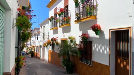 typical spanish street in old city estepona with colorful flower pots and beautiful balconies