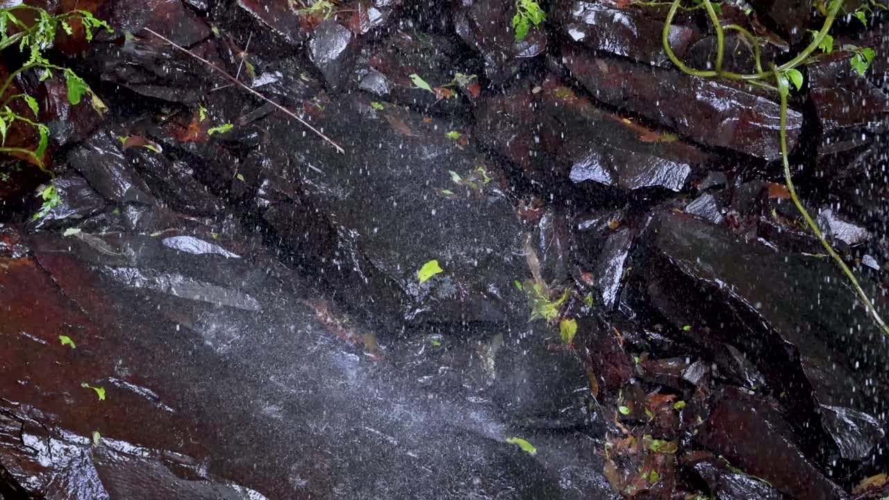 A steady waterfall flows over dark, wet rocks surrounded by green foliage in natural daylight. The camera remains static, capturing water movement and mist