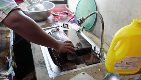 limpieza y preparación secuencial del pescado en una cocina.