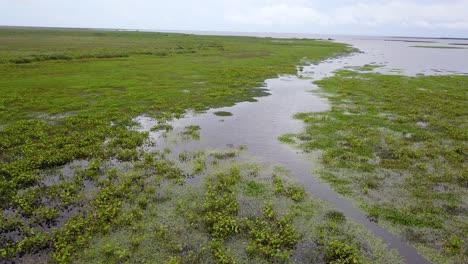 Wetlands-of-northeast-Argentina-shooted-with-drone