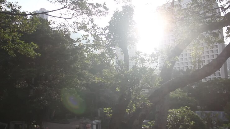 Dia ensolarado em um parque.