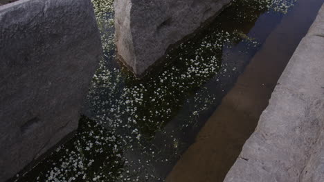 Nahaufnahme-Von-Antiken-Steinen-Und-Stufen-Im-Wasser-Im-Hellenistischen-Gymnasium-In-Milet