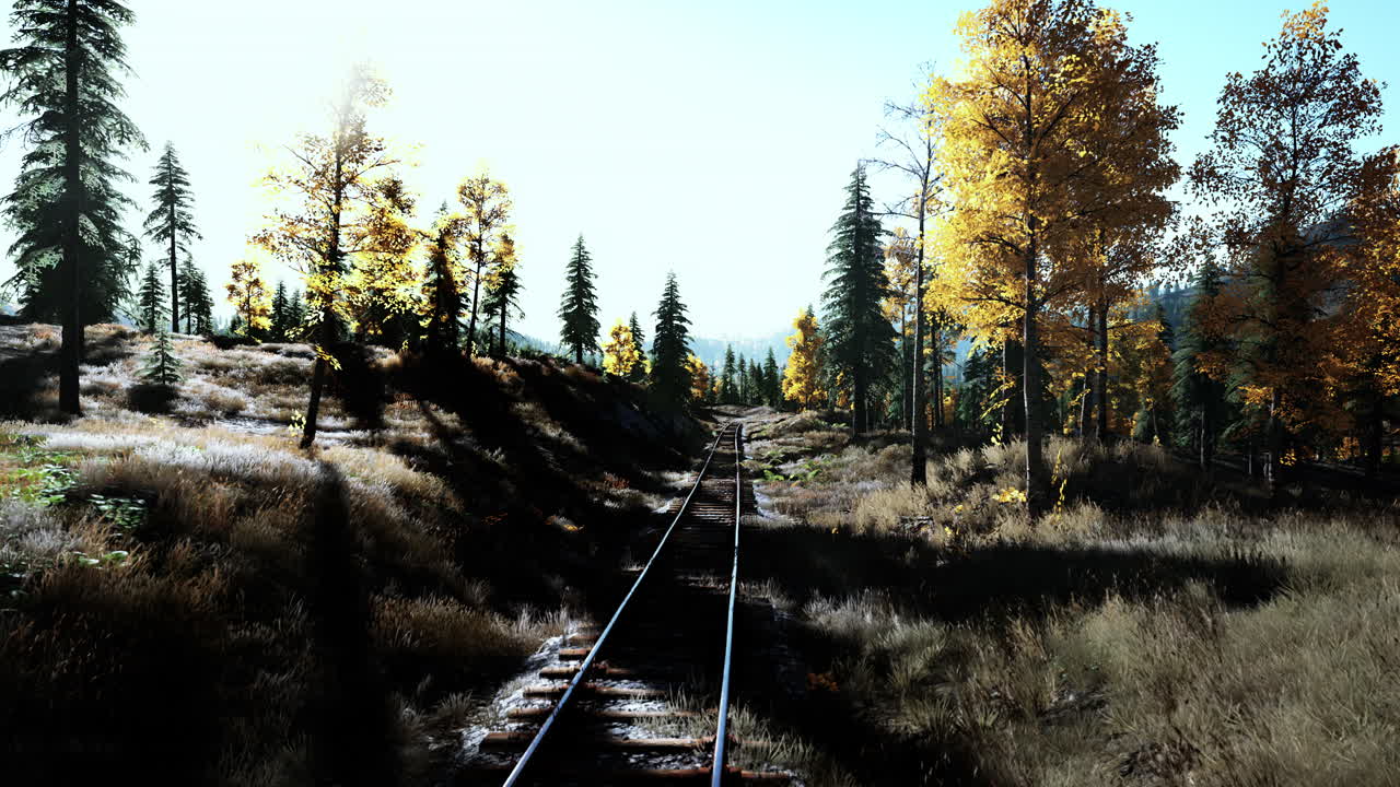 가을에 숲을 가로질러 가는 철도 트랙의 전망