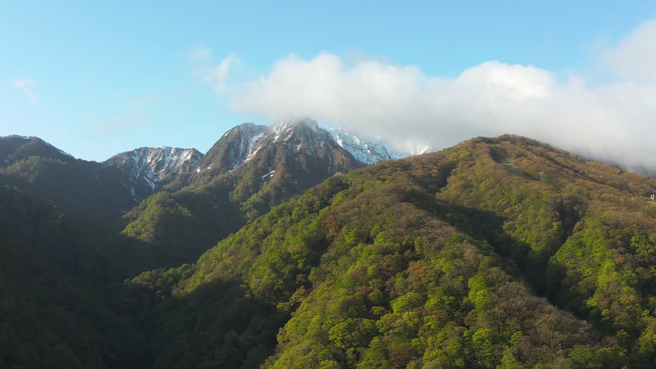 monte daisen y bosques de tottori, inclinación que revela la toma de establecimiento, japón