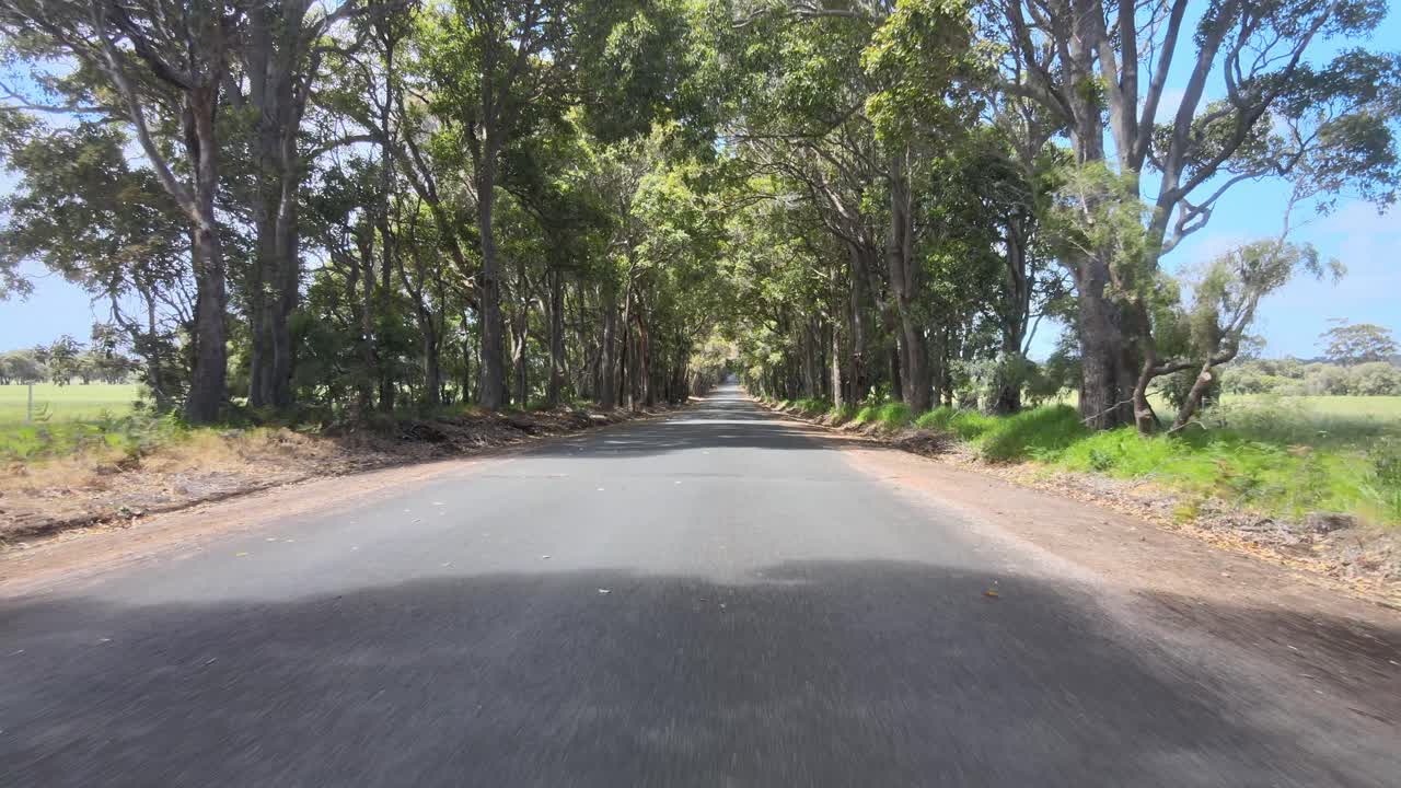 Telecamera che si muove all'indietro su una strada rurale con alberi ai lati durante una giornata di sole.