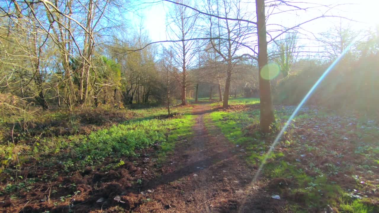 나무 골목에서 슬로우 모션 걷기