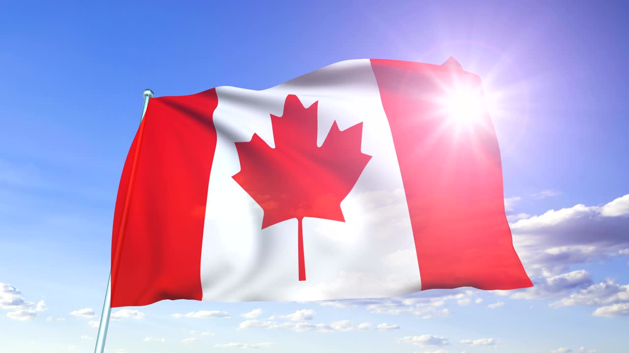 bandera de canadá (en bucle)