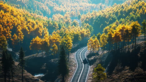 yellow and green trees in autumn forest