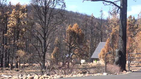 Un-Cartel-Agradece-A-Los-Bomberos-Por-Salvar-La-Propiedad-Durante-El-Destructivo-Incendio-De-Caldor-Cerca-Del-Lago-Tahoe,-California