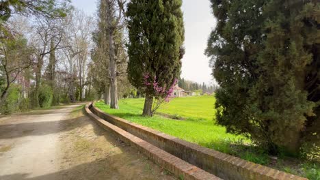 Schöner-Sandspaziergang-Im-Jardin-De-El-Principe-In-Aranjuez-Mit-Einer-Grünfläche-Auf-Der-Linken-Seite-Und-Zypressen-Und-Großen-Bäumen-Auf-Der-Anderen-Seite-Sehen-Wir-Einen-Großen-Ziegelkanal-Zur-Bewässerung-Im-Frühling-In-Spanien