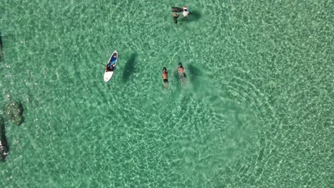 aerial top down view of people in surfboards and sea scooters enjoying the clear water at cala escondida in ibiza, spain