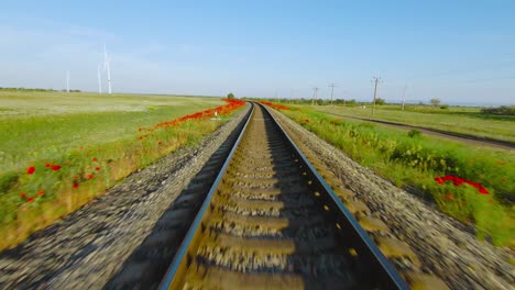 train tracks through a poppy field