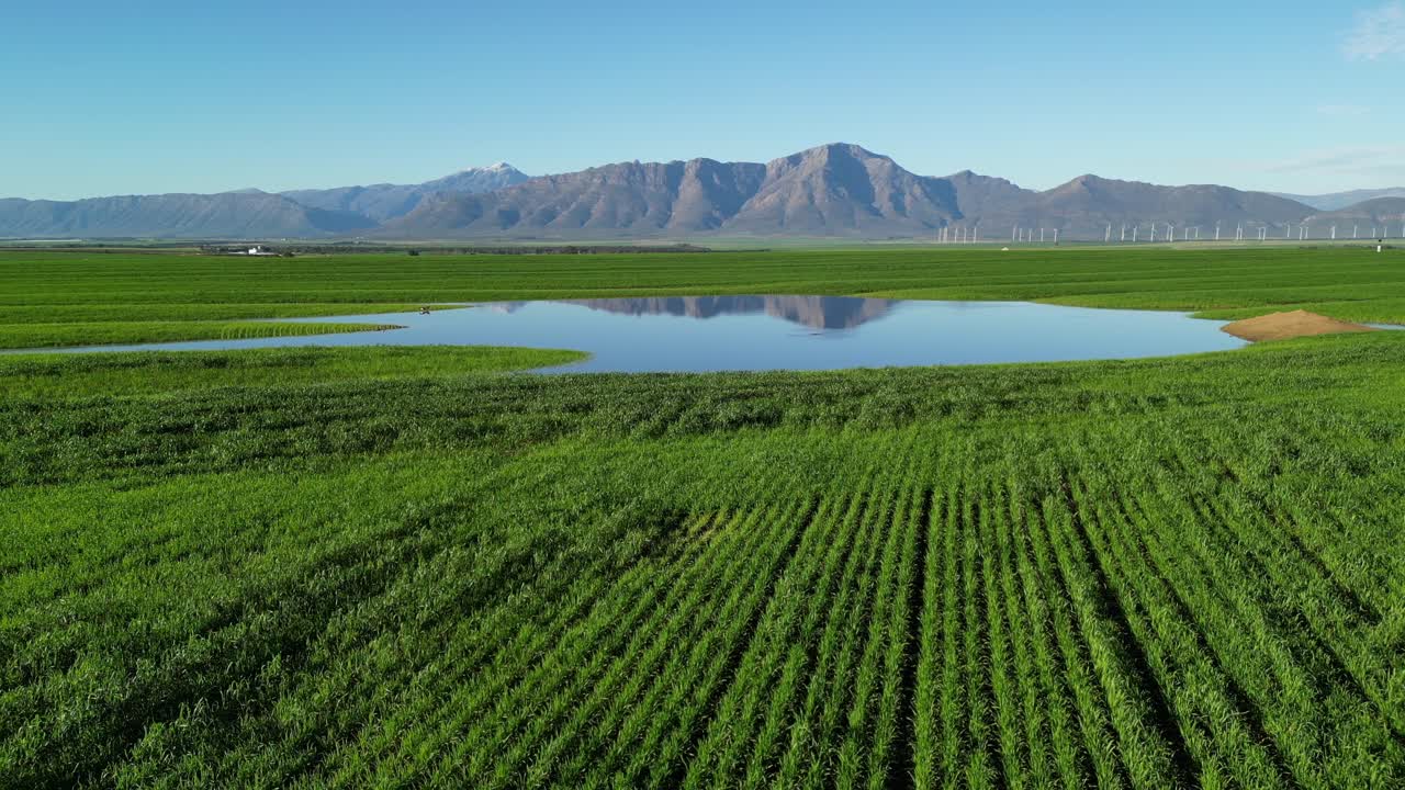 리비크 계곡 의 밀 에 있는 비 물