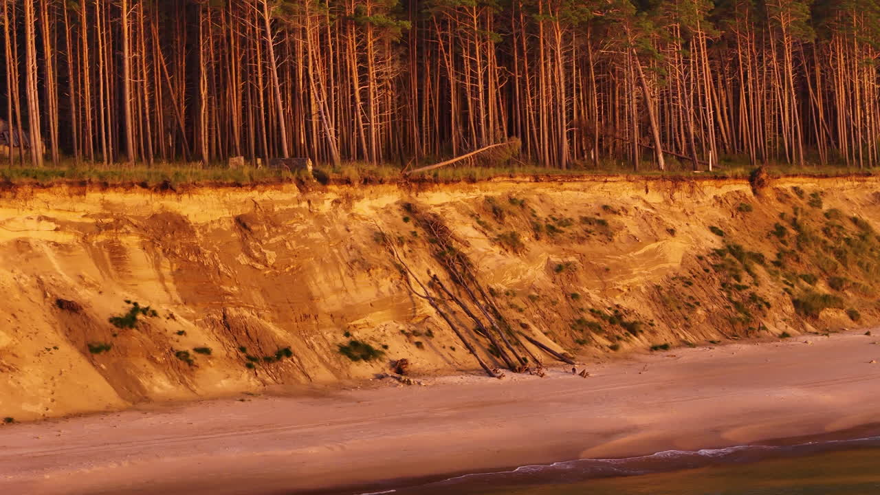 Aerial parallax of pine forest cliffs at Jurkalne coastline, golden light and calm Baltic Sea below