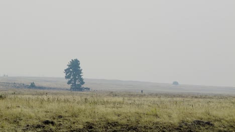 Humo-De-Incendios-Forestales-En-El-Centro-De-Oregon